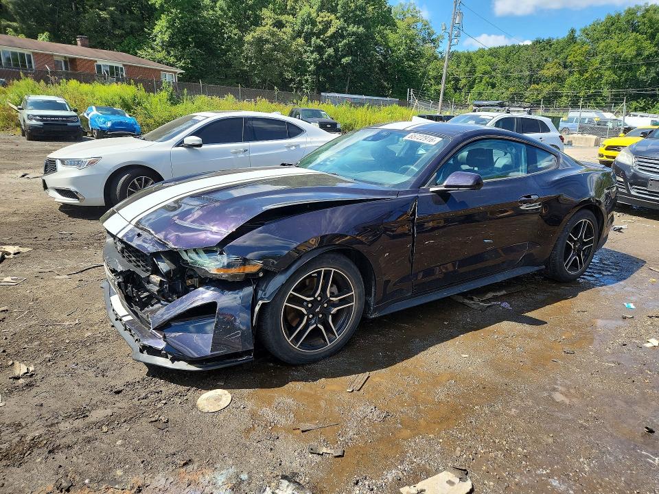 FORD MUSTANG 2023 with VIN 1FA6P8TH8P5101621 - Photo from auction