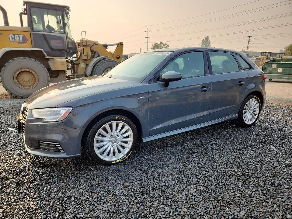 AUDI A3 2017 with VIN WAUUPBFF8HA042066 - Photo from auction