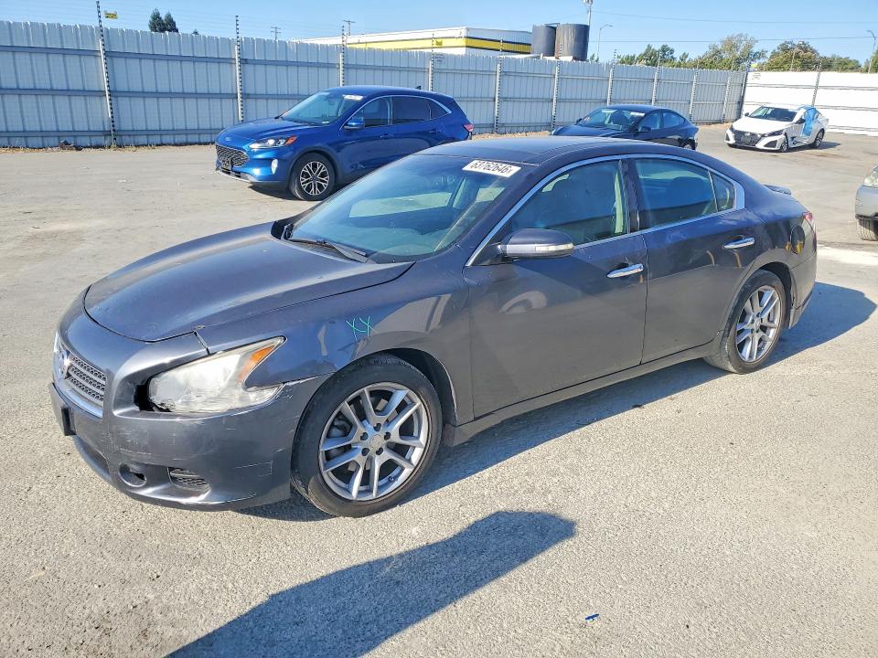 NISSAN MAXIMA 2010 with VIN 1N4AA5AP7AC825274 - Photo from auction