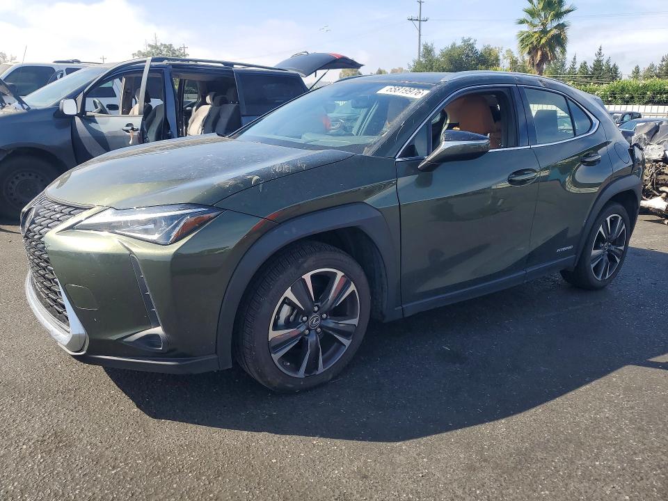2019 LEXUS UX