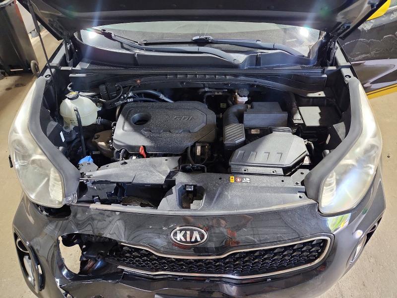 Photo 12 from auction – 2017 KIA SPORTAGE with VIN KNDPMCAC5H7103091