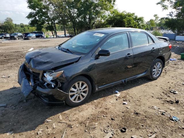 TOYOTA COROLLA BA 2010 with VIN 2T1BU4EE0AC535698 - Photo from auction