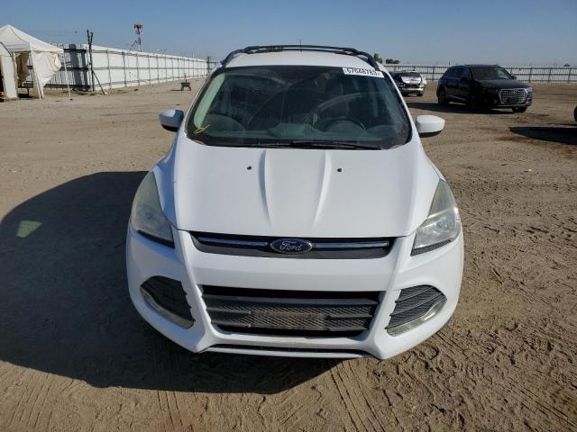 Photo 5 from auction – 2014 FORD ESCAPE SE with VIN 1FMCU0GX6EUA77794
