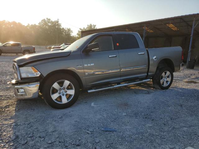 DODGE RAM 1500 2009 with VIN 1D3HB13T59S768963 - Photo from auction