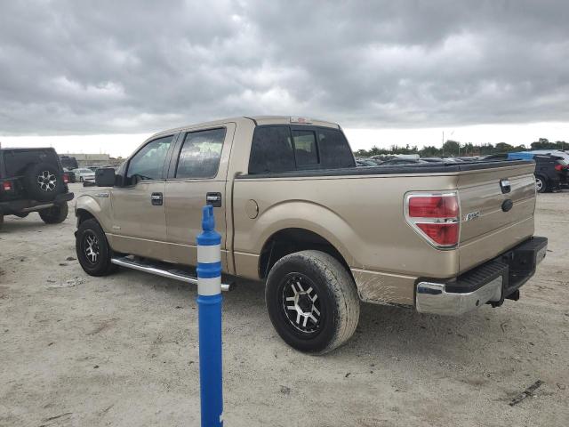 Zdjęcie 2 z aukcji – 2011 FORD F150 SUPER z VIN 1FTFW1CT9BFB39404