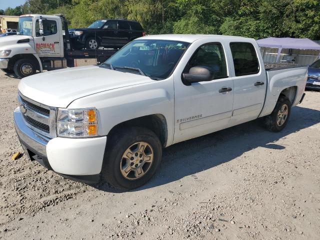 CHEVROLET 1500 2008 with VIN 2GCEC130481305855 - Photo from auction