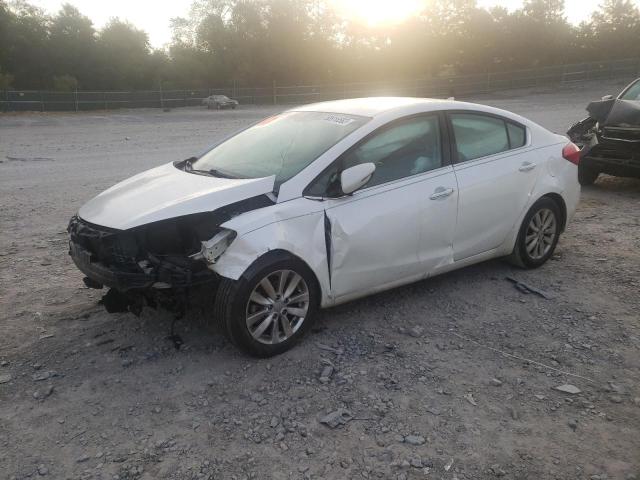 KIA FORTE EX 2014 with VIN KNAFX4A82E5096318 - Photo from auction