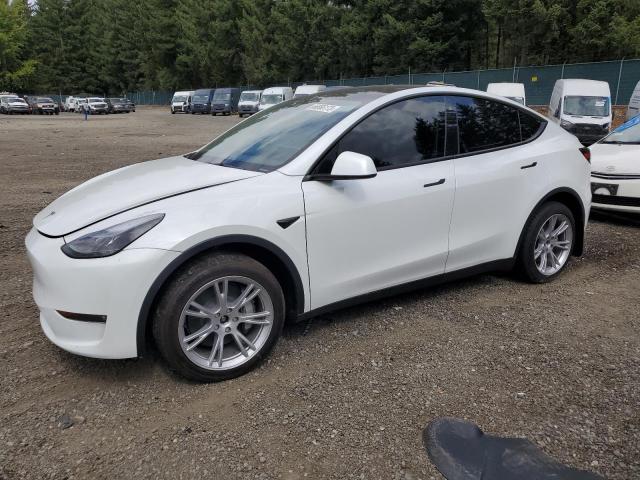 TESLA MODEL Y 2023 with VIN 7SAYGDEE5PF770297 - Photo from auction