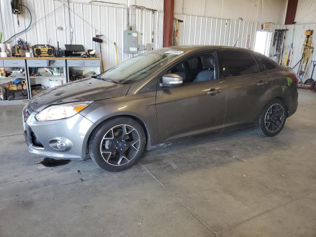 FORD FOCUS SE 2014 with VIN 1FADP3F29EL431875 - Photo from auction