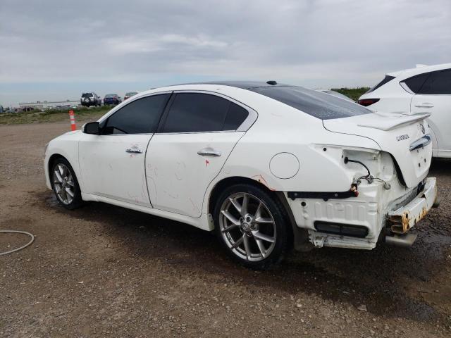 Photo 2 from auction – 2010 NISSAN MAXIMA S with VIN 1N4AA5AP4AC840959