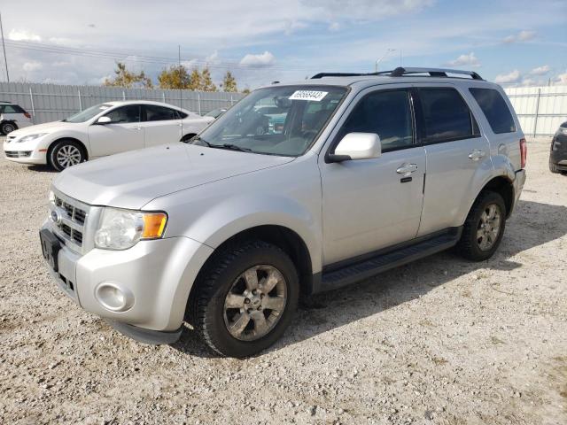 FORD ESCAPE LIM 2011 with VIN 1FMCU9EG1BKB16693 - Photo from auction
