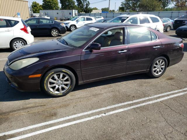 LEXUS ES 330 2004 with VIN JTHBA30G545009692 - Photo from auction