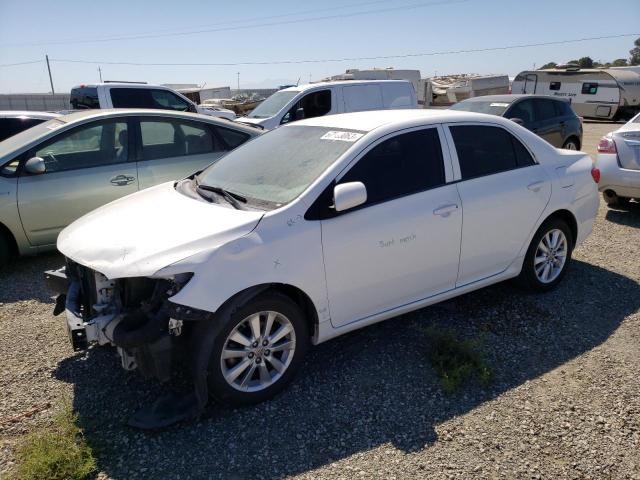 TOYOTA COROLLA BA 2010 with VIN 2T1BU4EE0AC201753 - Photo from auction