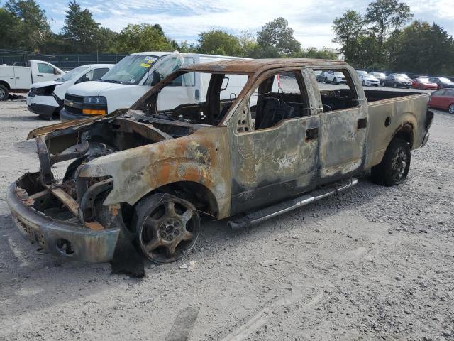 FORD F150 SUPER 2010 with VIN 1FTFW1EV7AFB64749 - Photo from auction