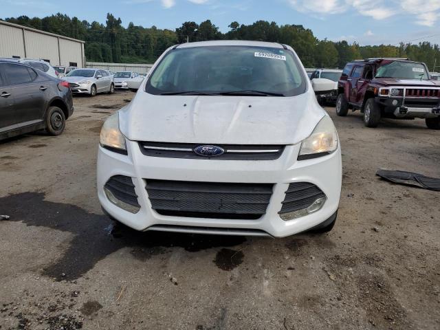 Photo 5 from auction – 2014 FORD ESCAPE SE with VIN 1FMCU0GX8EUB86080