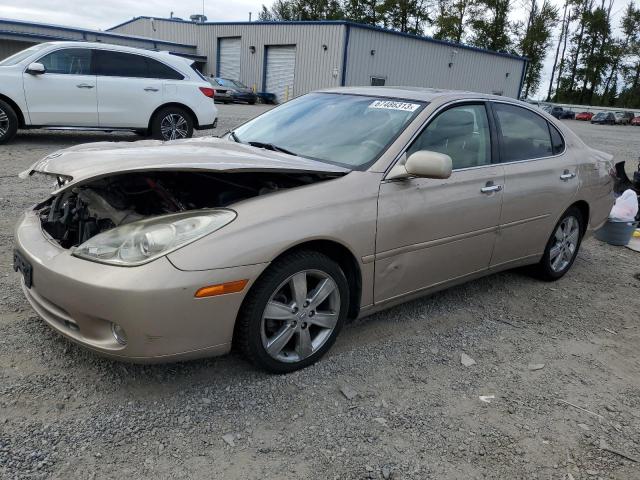 LEXUS ES 330 2005 with VIN JTHBA30G055120412 - Photo from auction