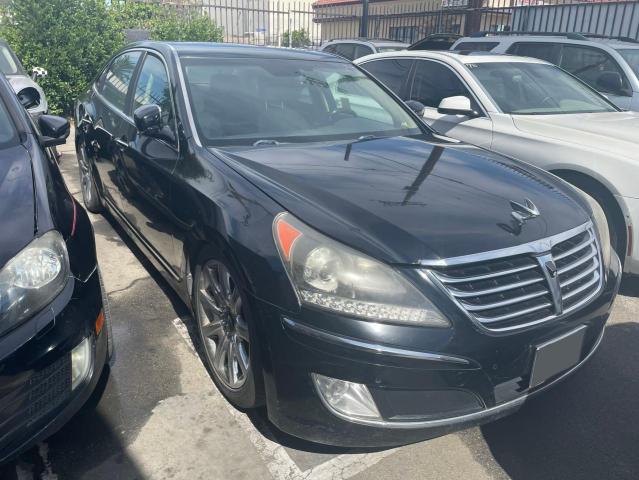 HYUNDAI EQUUS SIGN 2011 with VIN KMHGH4JF0BU041768 - Photo from auction