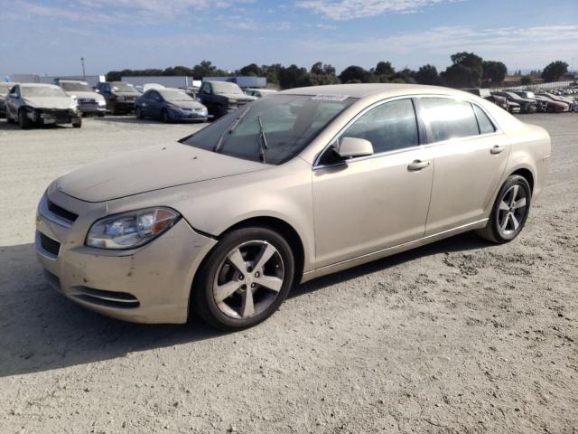 Photo 1 from auction – 2011 CHEVROLET MALIBU 1LT with VIN 1G1ZC5E14BF382555