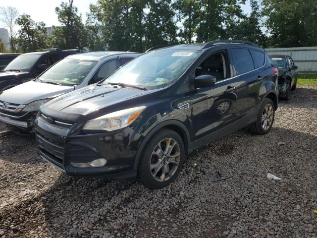FORD ESCAPE SE 2014 with VIN 1FMCU9GX9EUB17872 - Photo from auction