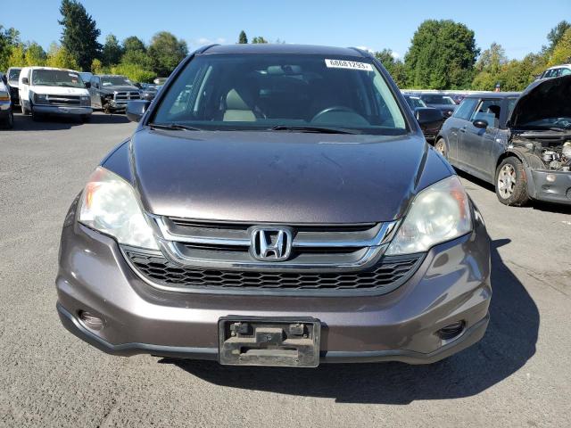Photo 5 from auction – 2011 HONDA CR-V SE with VIN 5J6RE4H41BL012855