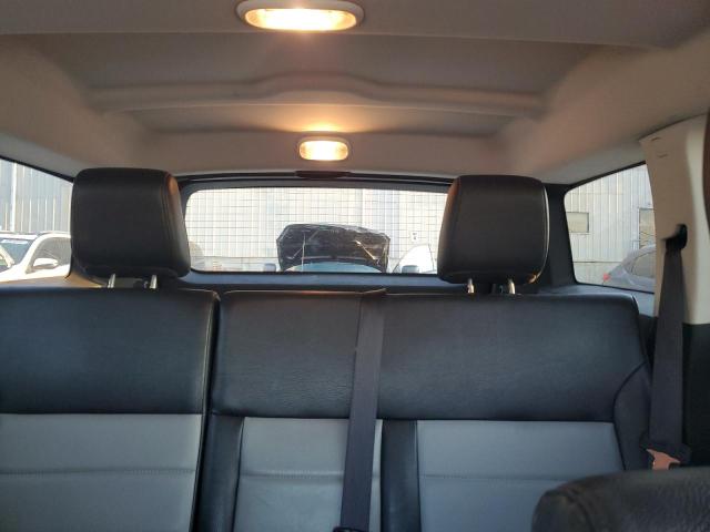 Photo 10 from auction – 2010 DODGE NITRO SXT with VIN 1D4PU5GX9AW125051