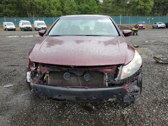 Photo 5 from auction – 2010 HONDA ACCORD EXL with VIN 1HGCP2F88AA074216