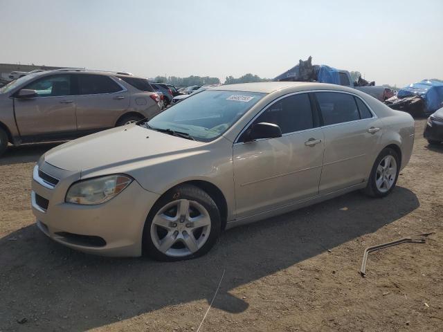 CHEVROLET MALIBU LS 2010 with VIN 1G1ZB5EB8AF160482 - Photo from auction