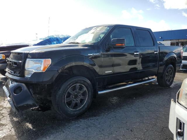 FORD F-150 2010 with VIN 1FTEW1E88AFD46076 - Photo from auction