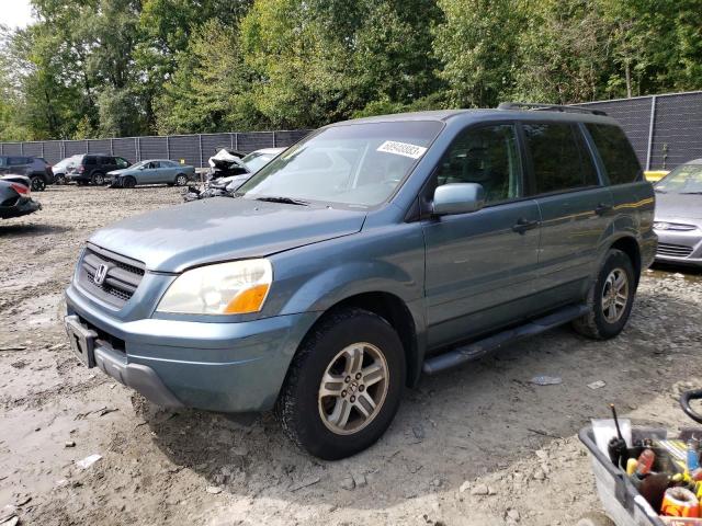 HONDA PILOT EXL 2005 with VIN 5FNYF18625B039052 - Photo from auction