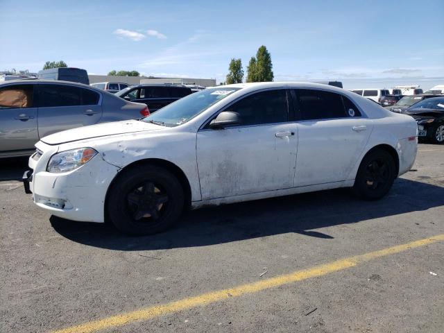 CHEVROLET MALIBU LS 2012 with VIN 1G1ZA5E01CF127828 - Photo from auction