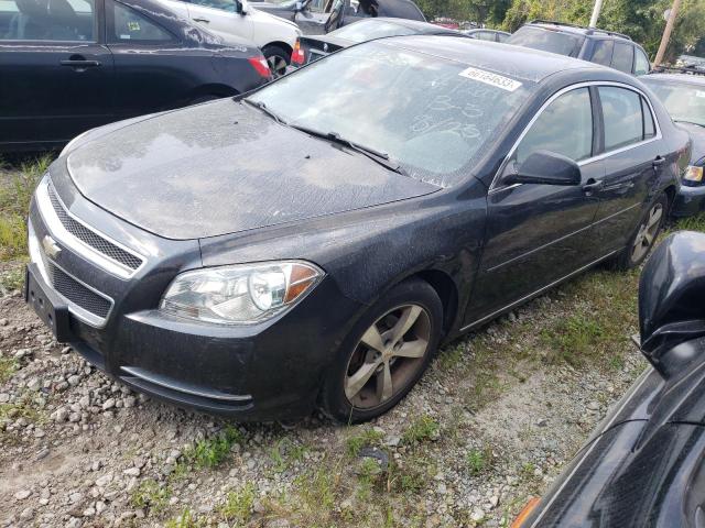 CHEVROLET MALIBU 1LT 2011 with VIN 1G1ZC5E13BF190334 - Photo from auction