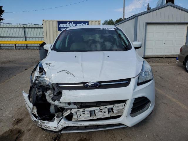 Photo 5 from auction – 2014 FORD ESCAPE SE with VIN 1FMCU0GX4EUA70231