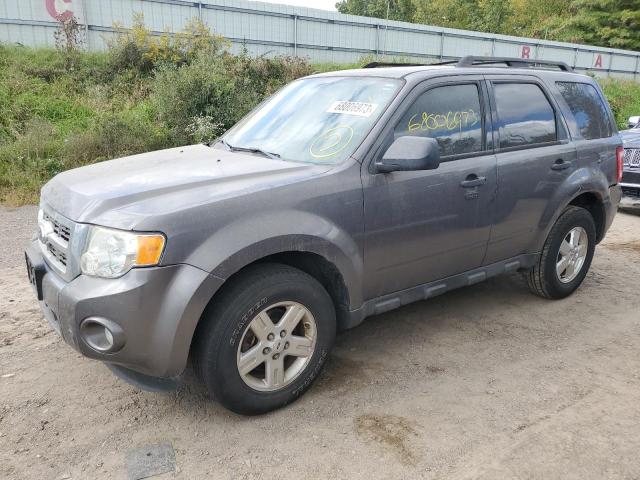 FORD ESCAPE XLT 2011 with VIN 1FMCU0D72BKA88416 - Photo from auction