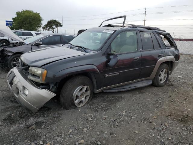 CHEVROLET TRAILBLAZE 2003 with VIN 1GNDT13S032243478 - Photo from auction