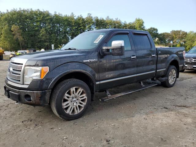 FORD F150 SUPER 2010 with VIN 1FTFW1EV9AFD47845 - Photo from auction