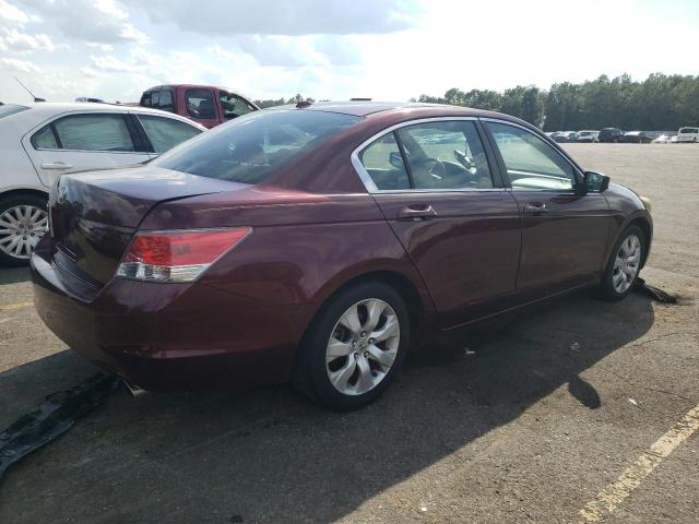 Photo 3 from auction – 2010 HONDA ACCORD EXL with VIN 1HGCP2F88AA138772