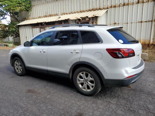 Photo 2 from auction – 2013 MAZDA CX-9 TOURI with VIN JM3TB2CA6D0418082