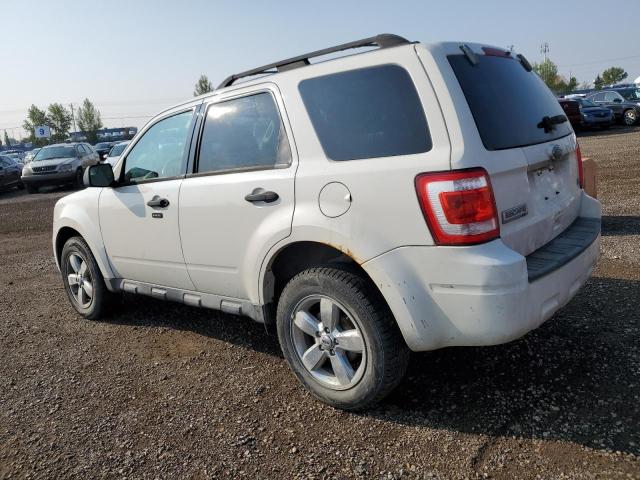 Photo 2 from auction – 2010 FORD ESCAPE XLT with VIN 1FMCU9DG9AKB16506