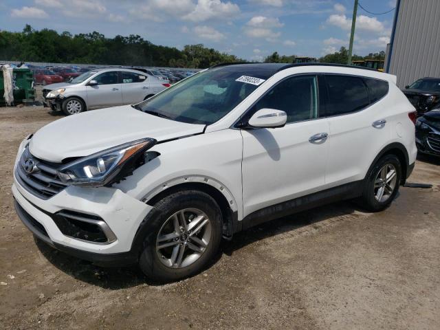 HYUNDAI SANTA FE S 2017 with VIN 5NMZU3LB9HH041135 - Photo from auction