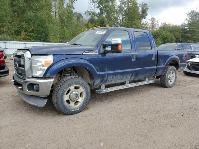 FORD F250 SUPER 2011 con VIN 1FT7W2B68BEC84946 - Foto de la subasta