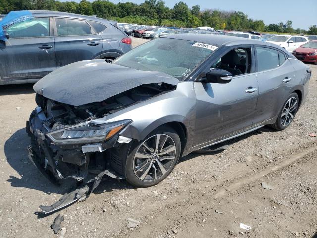 NISSAN MAXIMA SV 2023 with VIN 1N4AA6CV2PC508724 - Photo from auction