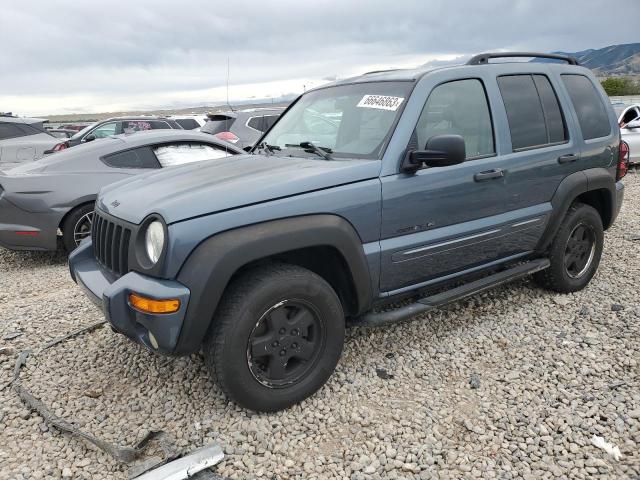 JEEP LIBERTY LI 2002 with VIN 1J8GL58K72W331112 - Photo from auction