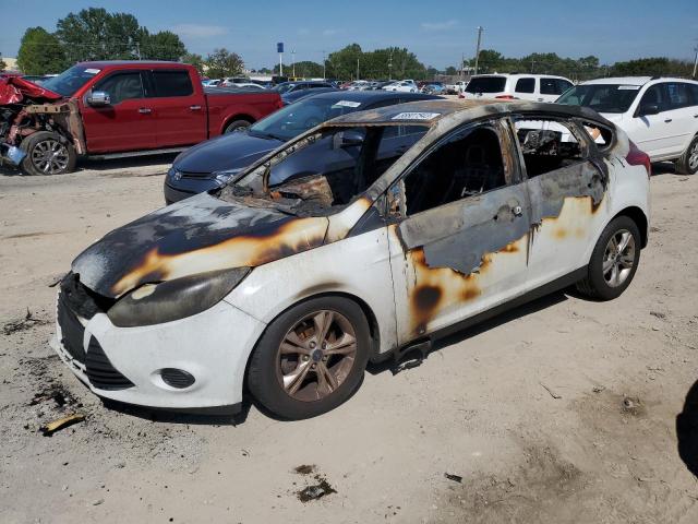 FORD FOCUS SE 2013 with VIN 1FADP3K23DL237217 - Photo from auction