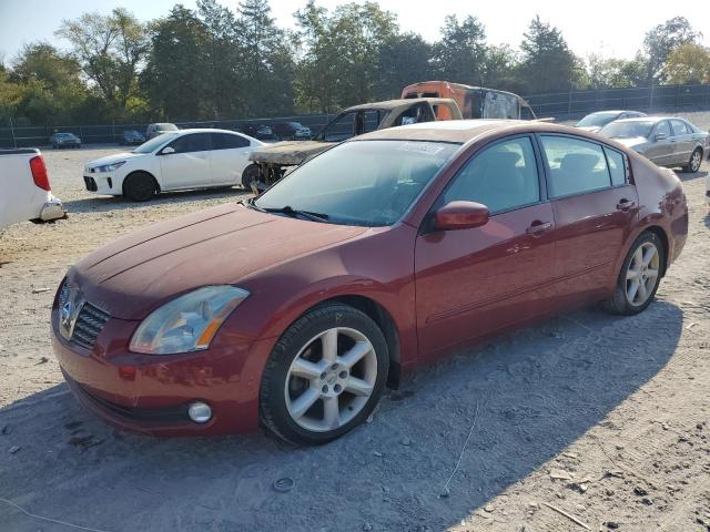 NISSAN MAXIMA SE 2005 with VIN 1N4BA41E55C831559 - Photo from auction