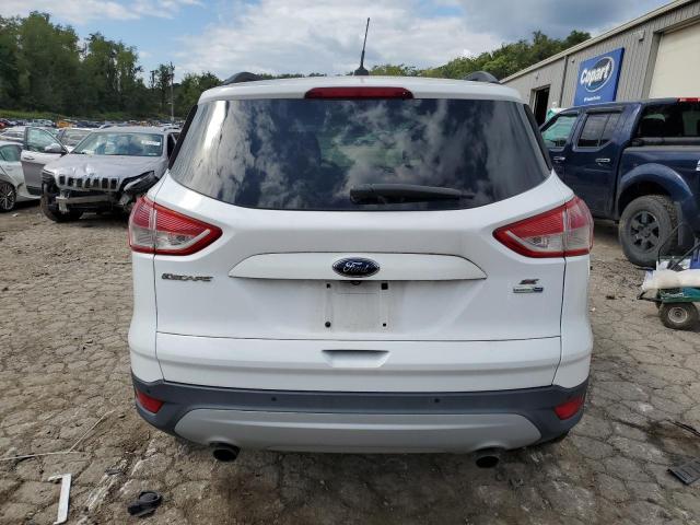 Photo 6 from auction – 2014 FORD ESCAPE SE with VIN 1FMCU9G96EUC18661