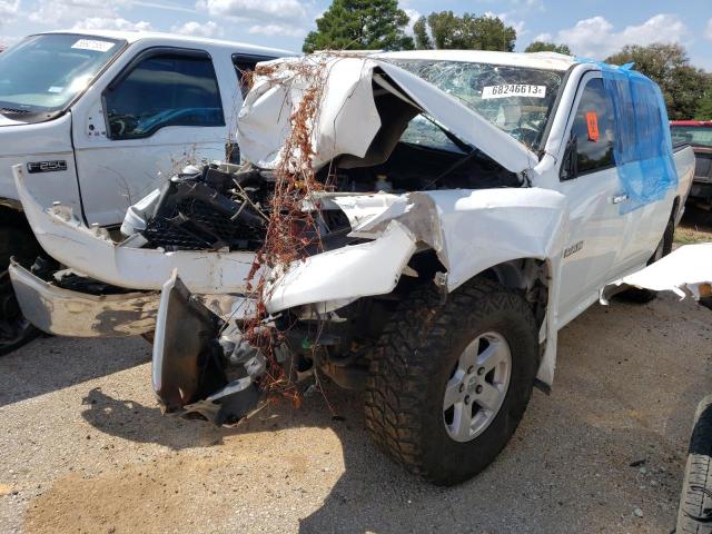 DODGE RAM 1500 2010 with VIN 1D7RB1CP1AS203488 - Photo from auction