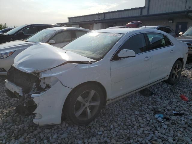 CHEVROLET MALIBU 1LT 2011 with VIN 1G1ZC5E19BF200266 - Photo from auction