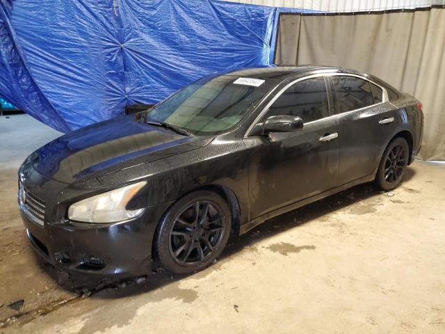 NISSAN MAXIMA S 2010 with VIN 1N4AA5APXAC817220 - Photo from auction