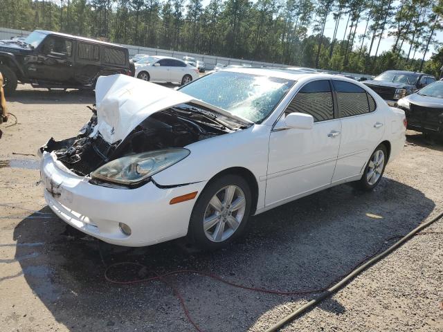 LEXUS ES 330 2005 with VIN JTHBA30G255137163 - Photo from auction