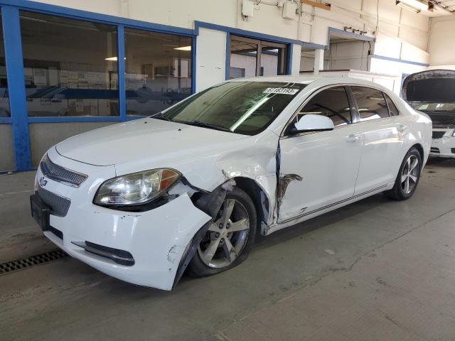 CHEVROLET MALIBU 1LT 2011 with VIN 1G1ZC5E19BF237690 - Photo from auction
